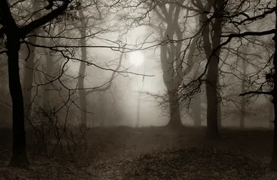 Nebel lichtet sich im Kinderwunsch