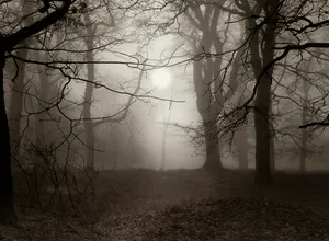 Nebel lichtet sich im Kinderwunsch