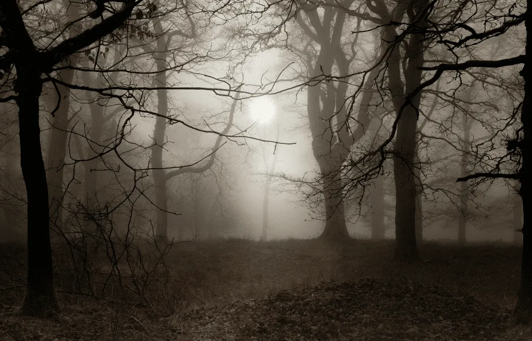 Nebel lichtet sich im Kinderwunsch